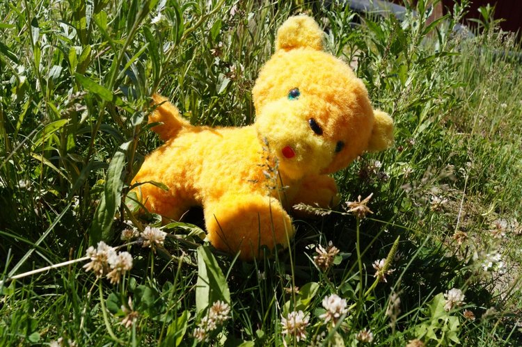 Лечение куколок, продолжение (фото 8)