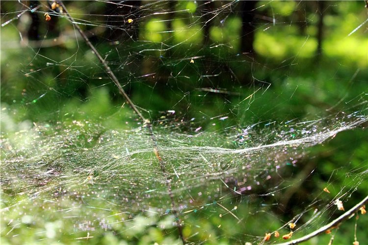 Путешествие Эли на красивый берег реки Волги (фото 10)