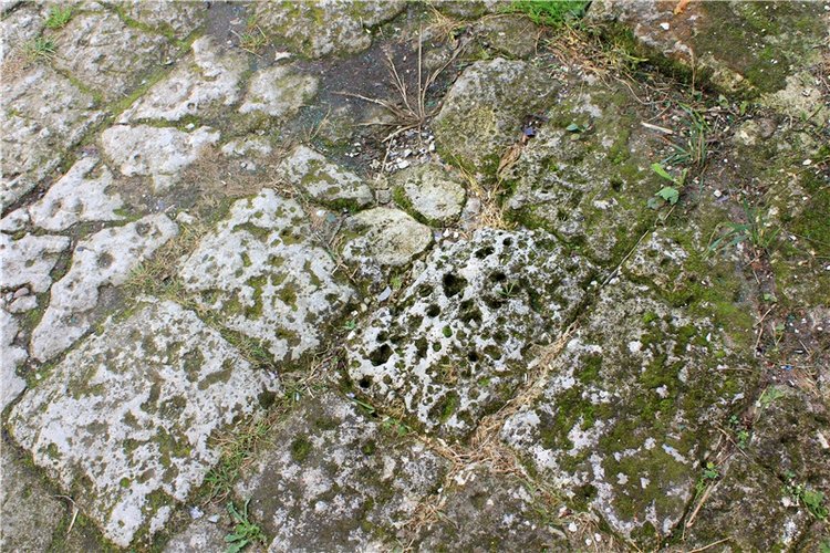 Тайны Древней Старицы — Культура