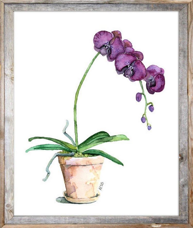 TheColorfulCatStudio - Иллюстрированная флора by Rachel Byler