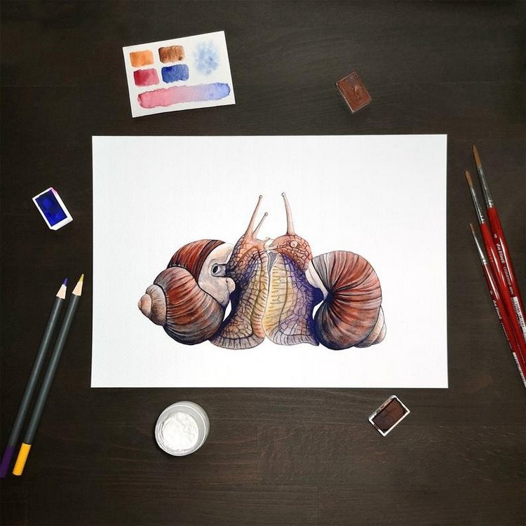 SnailMaidenStudio - Акварельные иллюстрации маленьких живых существ