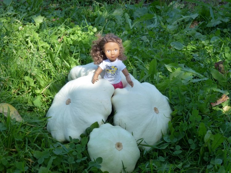 Отдых в деревне с Джой — Туризм и путешествия: фотоотчеты из поездок