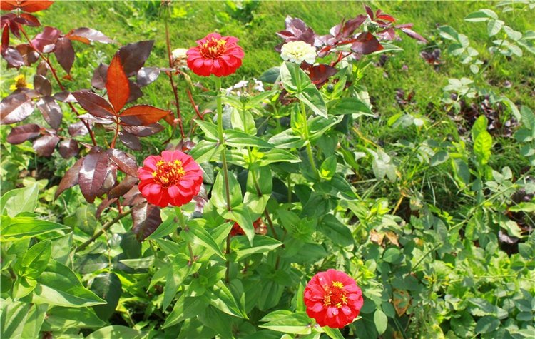 Сентябрьское путешествие в Старицу. Старицкий Свято-Успенский Монастырь