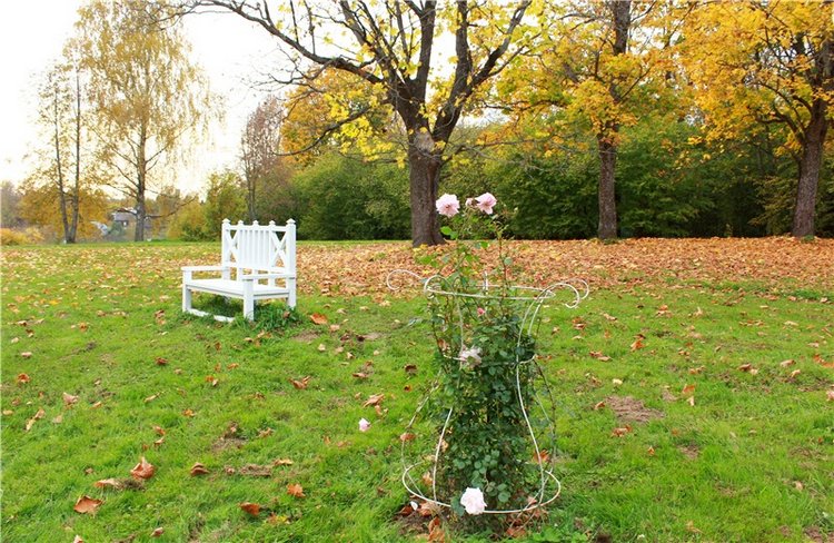 Золотая Осень в Берново с Имани. Mini Imani от Kaye Wiggs