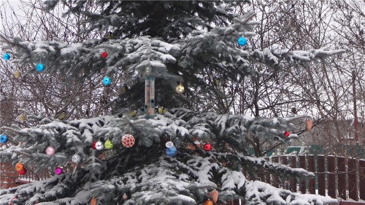 Счастье есть! Продолжение