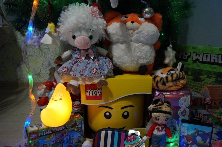 Настало время показать новогодние подарки (фото 9)