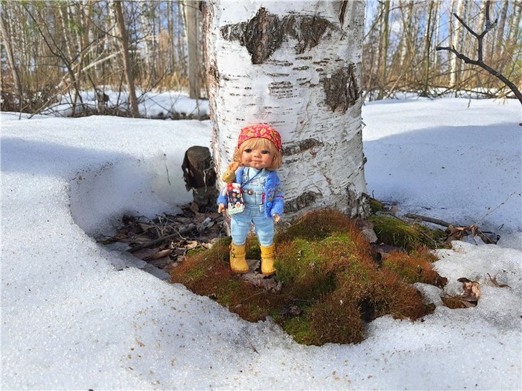 Весна в "Саду Камней" | Бэйбики Весна в "Саду Камней" — Куклы Meadow dolls (Медовушки): BJD (БЖД)