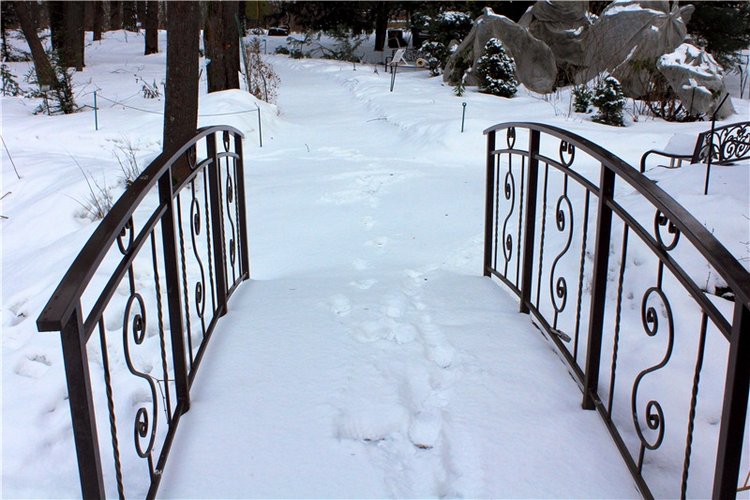 Тверской Ботанический Сад, заключительная часть