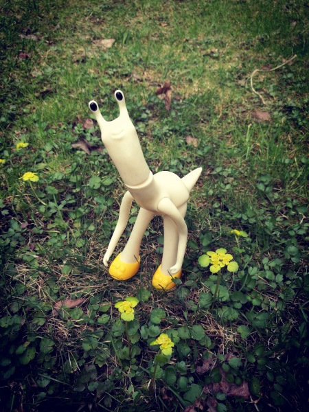 Добро пожаловать в удивительный мир Ванды