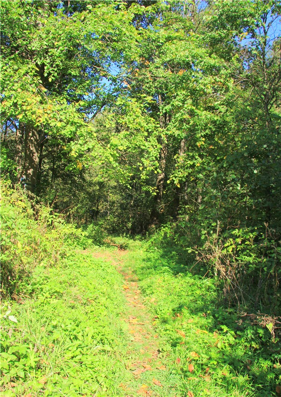 Старицкая Швейцария. Старицкие пещеры, д. Толпино, заключительная часть