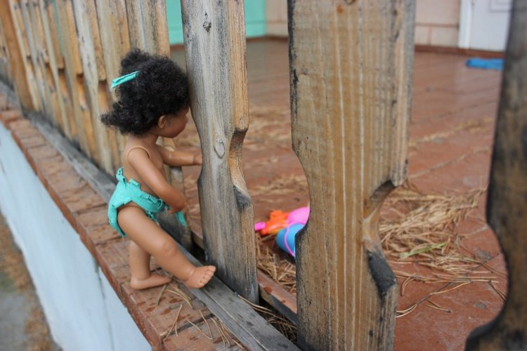 Базовичок обыкновенный. Дикий, но симпатичный | Бэйбики Базовичок обыкновенный. Дикий, но симпатичный