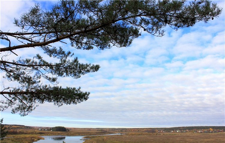 Ромашковый октябрь. Zwergnase Mischa