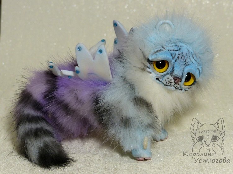 Ахисмио Тигровый в новом окрасе