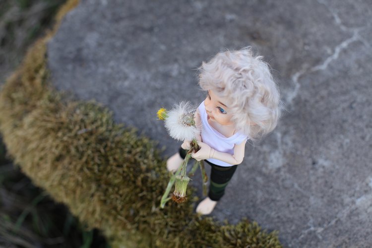 Первая прогулка Мармеладика (фото 8)