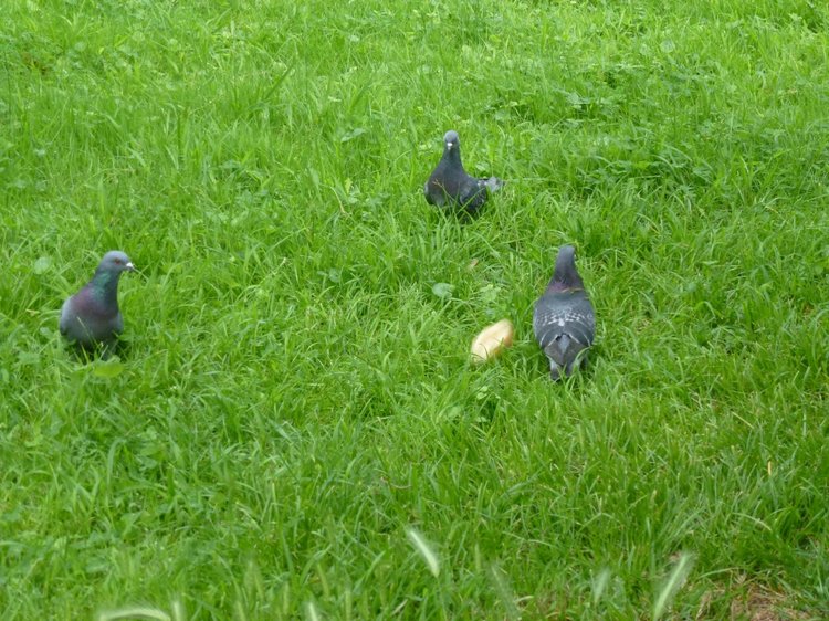 Сочи-Адлер: Южное Взморье - виртуальное путешествие по территории санатория