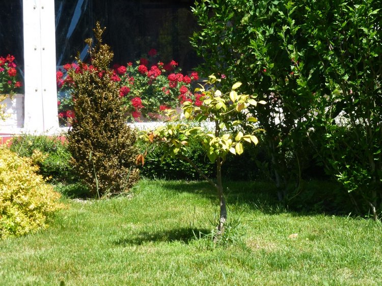 Сочи-Адлер: Южное Взморье - виртуальное путешествие по территории санатория