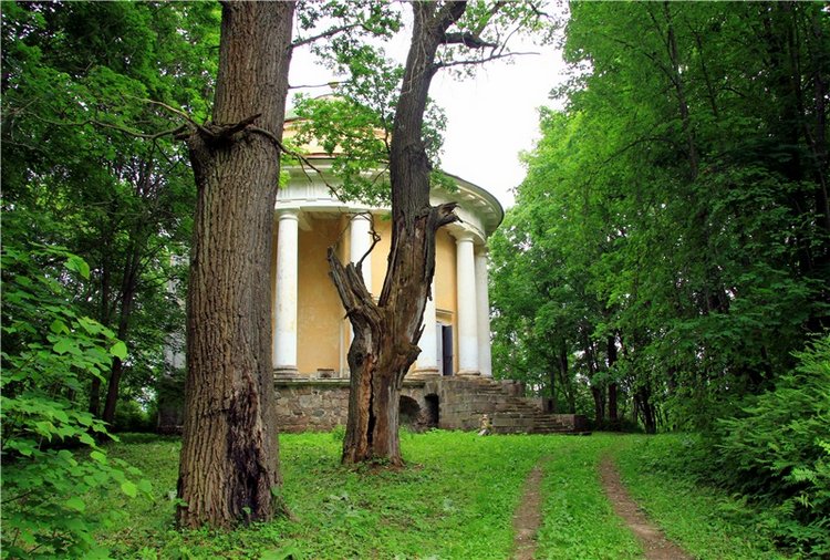 Путешествие с Бенни — Культура