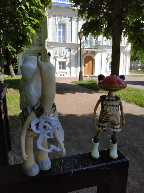 Wonderfrog. Красота в простоте