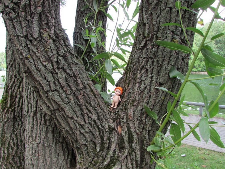 Моя кукольная семья на прогулке в Измайловском Парке