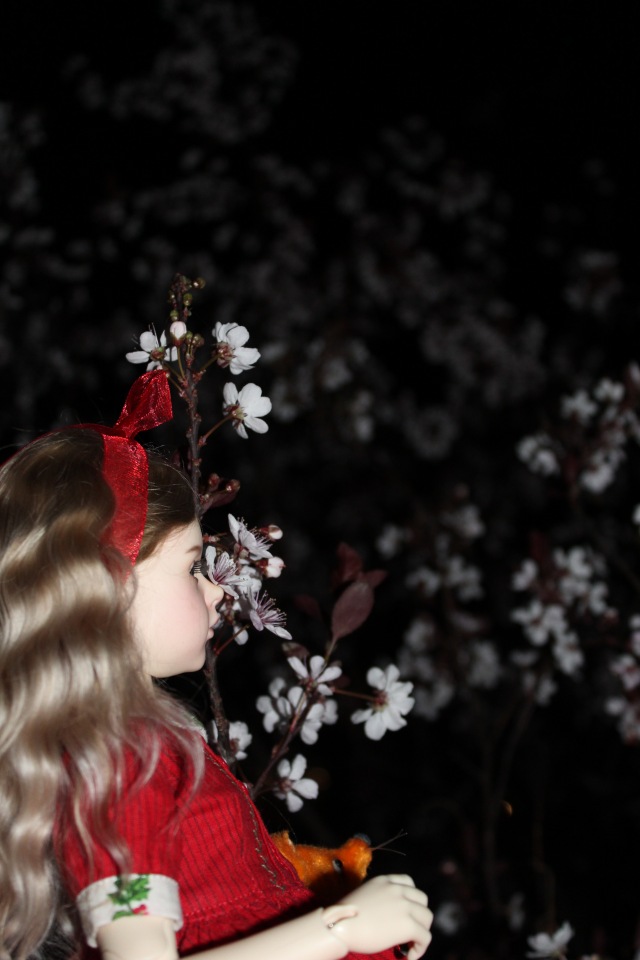 Розочка в вечернем саду — Куклы Dollshe Craft (Доллше): BJD (БЖД) (фото 5)