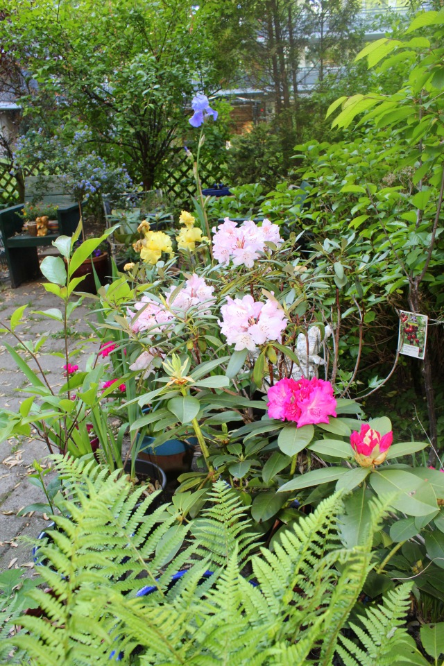 Любовь нечаянно нагрянет — Фэшн