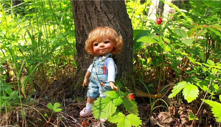 Путешествие Эли на красивый берег реки Волги