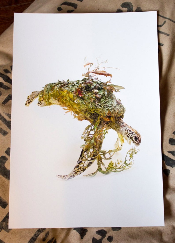 EllenJewettPrintShop - "Сюрреалистическая естественная история" by Ellen Jewett