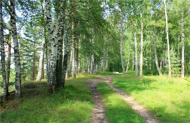 Августовское путешествие в "Сад Камней" | Бэйбики Августовское путешествие в "Сад Камней" (фото 7)