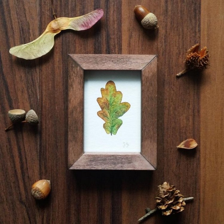 SnailMaidenStudio - Акварельные иллюстрации маленьких живых существ