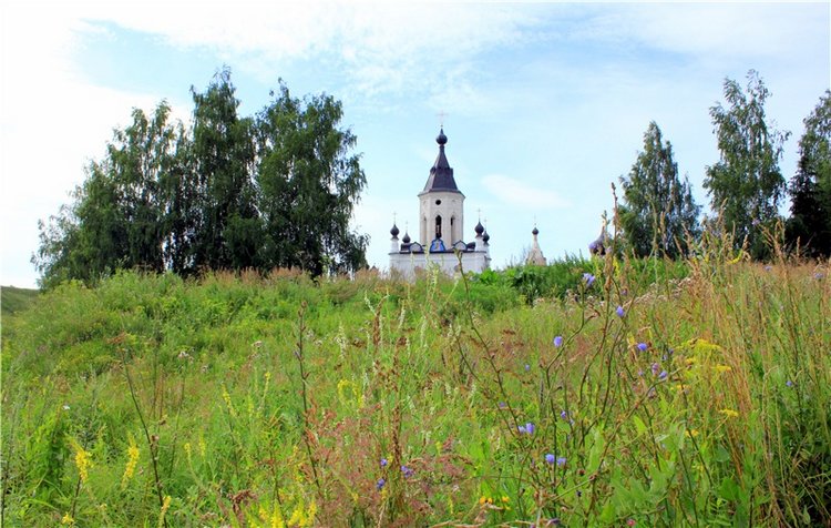 Июльское путешествие в Старицу