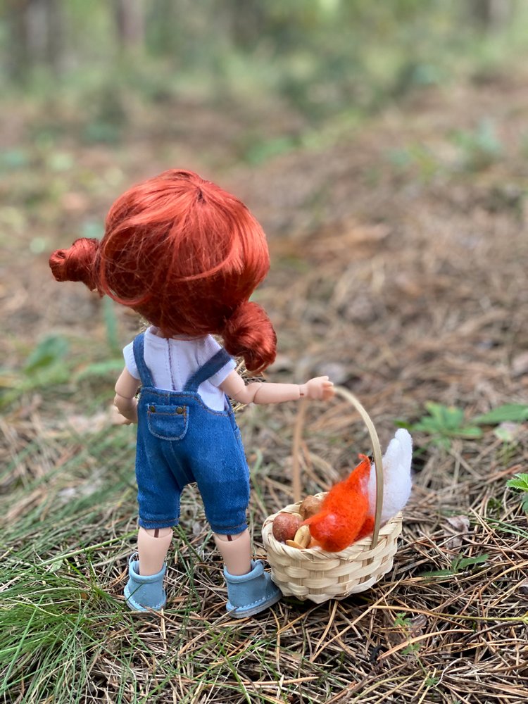 Как Варя ходила за грибами. Fabbi Chibbi Meadow dolls | Бэйбики Как Варя ходила за грибами. Fabbi Chibbi Meadow dolls