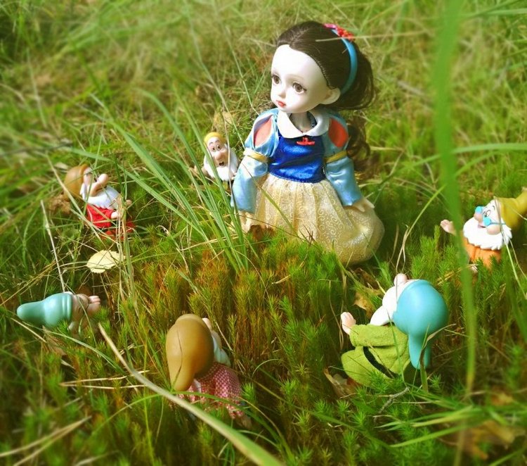 Осеннею порой под старою сосной... Принц, Белоснежка и гномы... встречаются