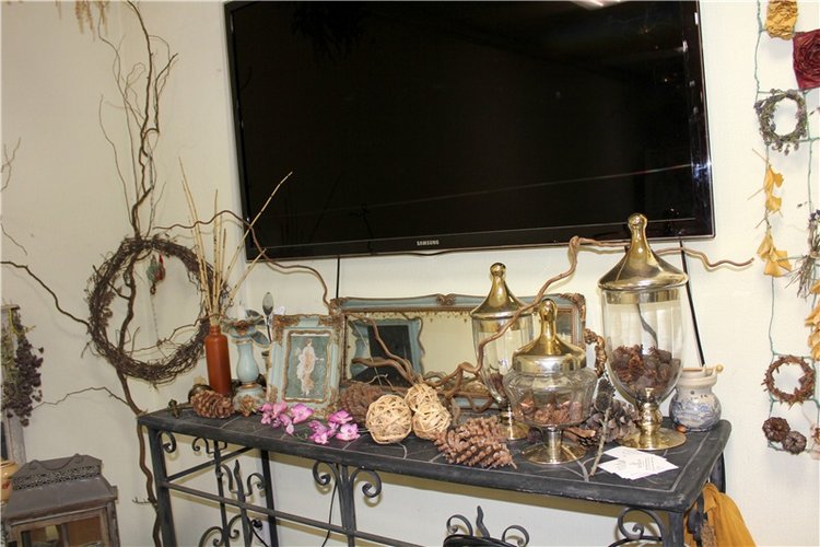 Тверской Ботанический Сад (фото 9)