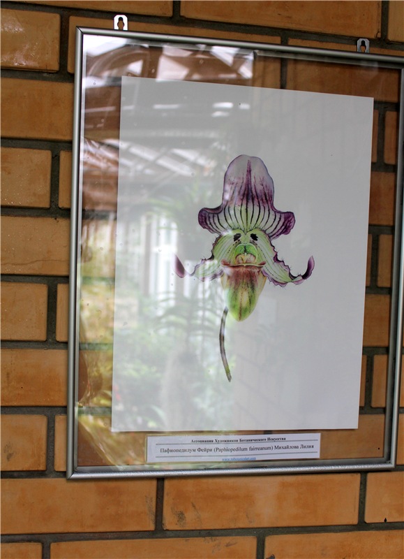 Тверской Ботанический Сад