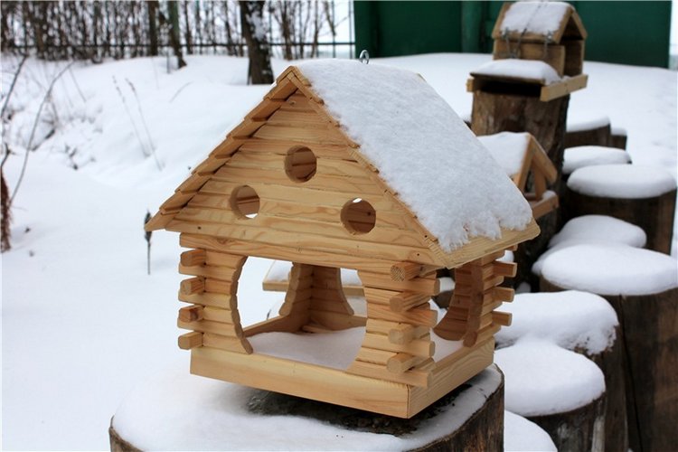 Тверской Ботанический Сад, заключительная часть