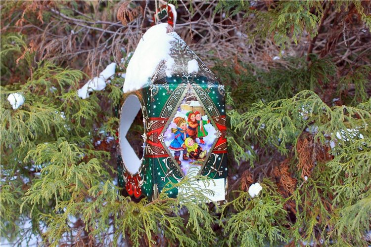 Тверской Ботанический Сад, заключительная часть