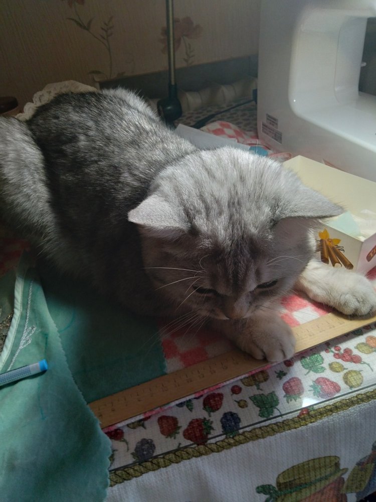 Гостей с такими подарками надо гнать поганой метлой! Или не надо