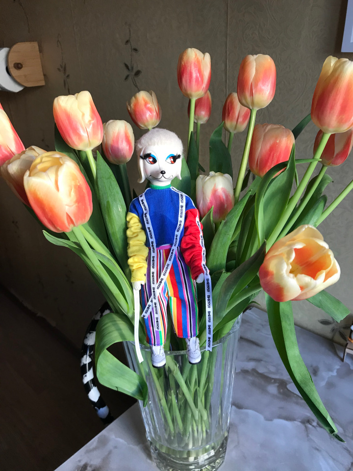 4 сезона Peteena от Hasbro