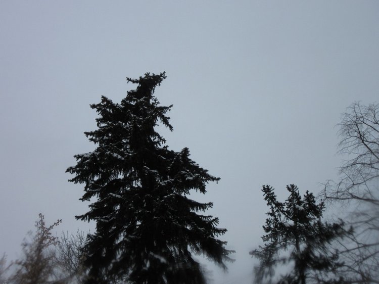 Король зимы — Разные шарнирные куклы (не БЖД): редкие (фото 9)