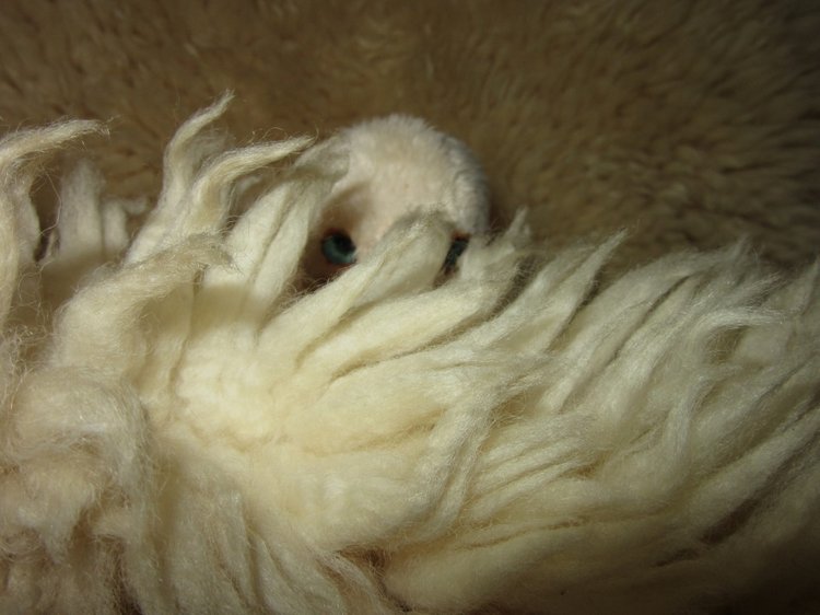 Фантастическая наглость фантастического нюхлера