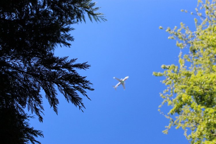 Продолжение прогулки. Часть вторая