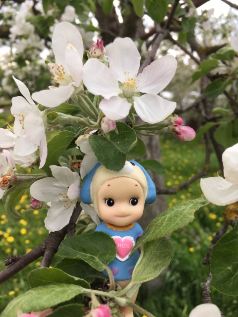 Поездка на дачу с Mui-chan, Migliorati и Sonny angel