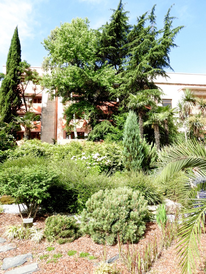 Краснодарский Край, Сочи-Адлер, Санаторий «Южное Взморье»