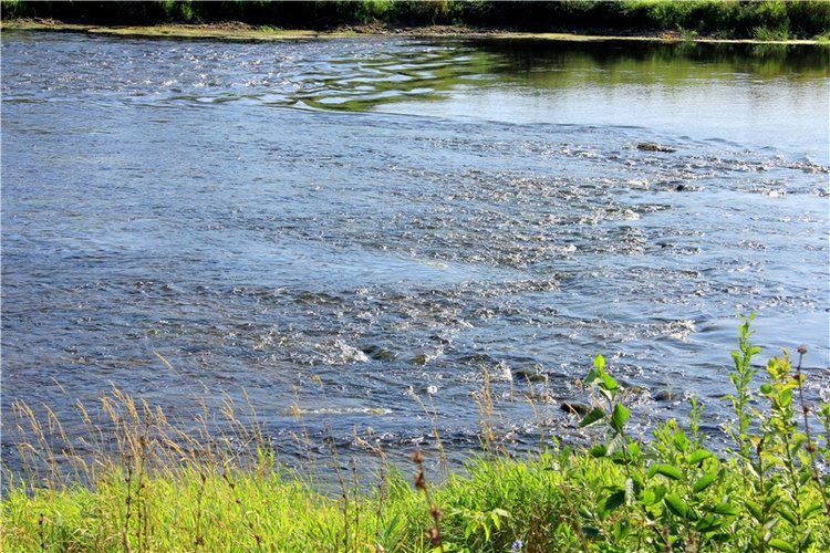 Инопланетянка Нийя. Custom Blythe Doll UFO Go Go Takara