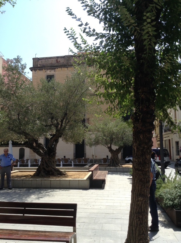 Путешествие Минуш в Испанию. Каталония. Ч.1. Рассвет над облаками. О-ла, Барселона