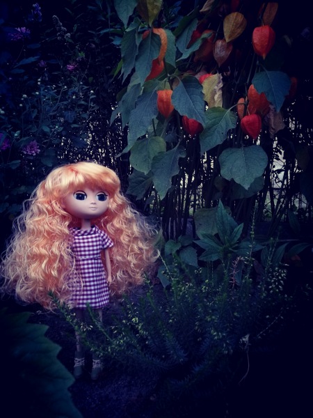 Неподражаемые Муф — Азиатские виниловые куклы (разное): Китай