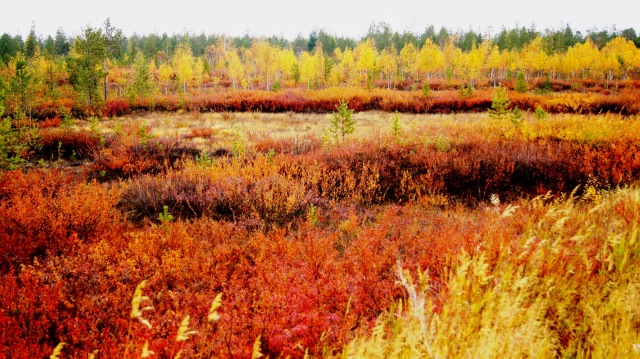 Осенний пейзаж — Туризм и путешествия: фотоотчеты из поездок (фото 4)