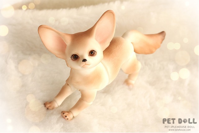 Новинки от Iplehouse - Маленький принц Fay (формат KID) и лис Fennec Fox (фото 7)