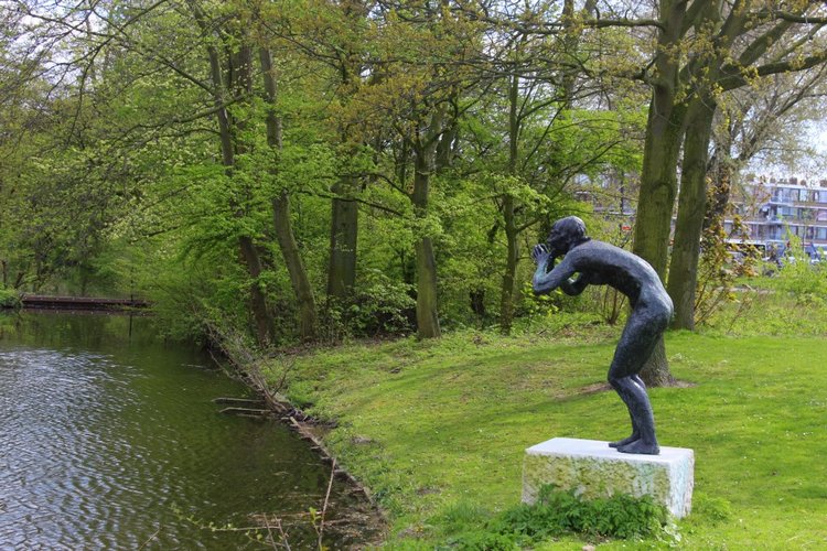 Цветущая Сакура. Прогулка по парку с Алисой. Весенние зарисовки