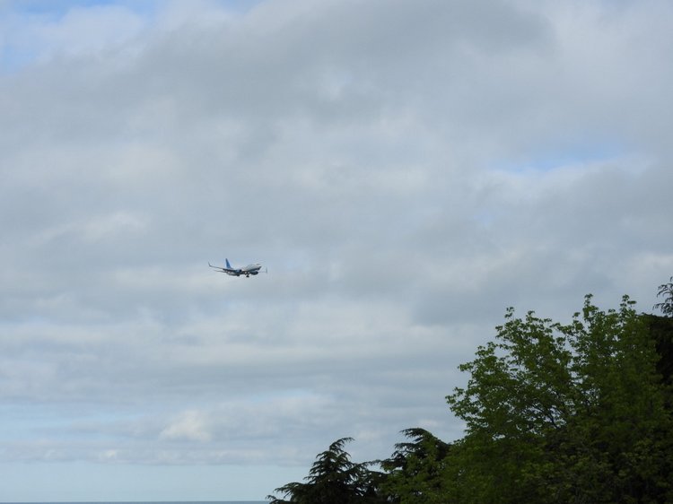 Сочи-Адлер: Южное Взморье - наблюдения за самолетами (фото 9)